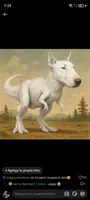 OKKOTZU