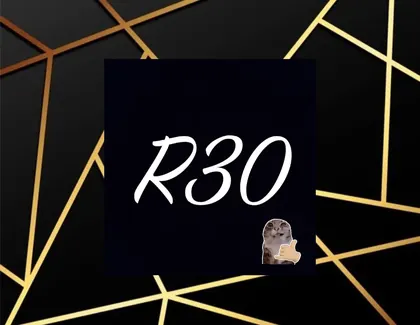 Logo del equipo R30