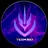 TEAM RE¥