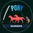 PonysSalvajes